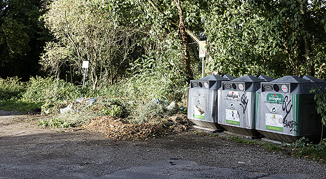 Gr&uuml;nabfall Hermann-L&ouml;ns-Allee